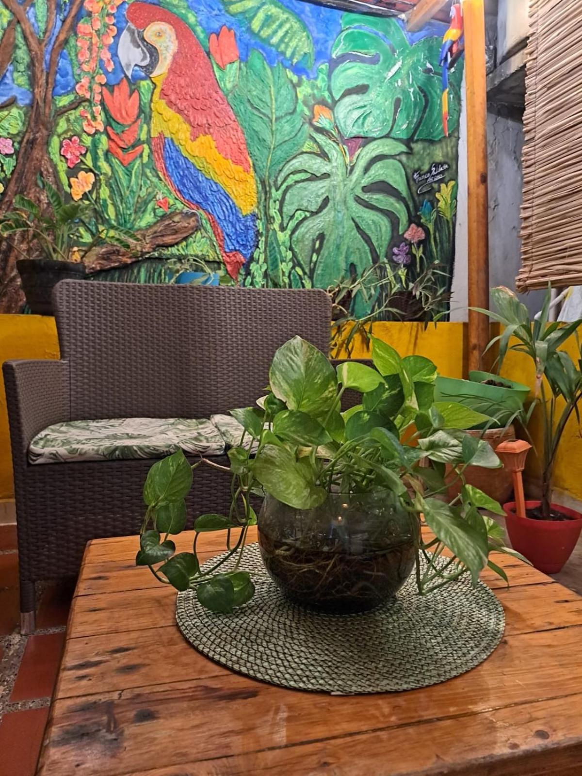 Hostel Shalom Adonai Cartagena Exteriör bild